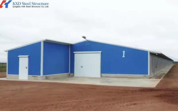 Galvanized Steel Prefabricated Poultry Farm Building for Broiler Housing