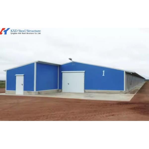 Broiler Poultry Prefab Houses Steel Structure Fully Automated Chicken Farming Equipment