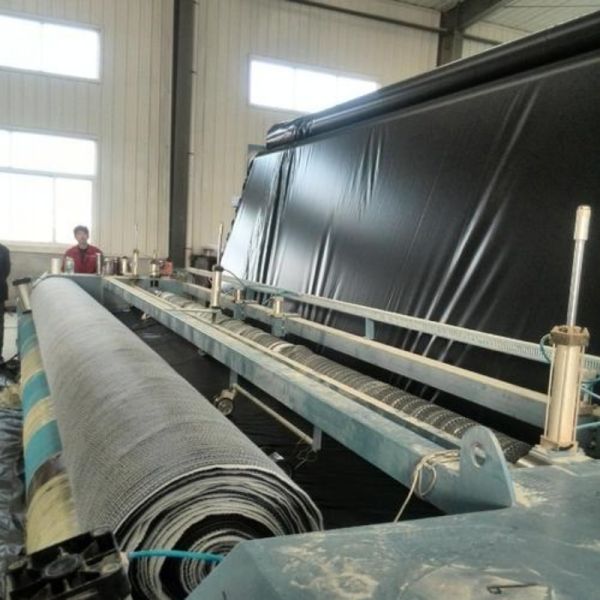 High Density Geo Synthetic Clay Liner Landfill Waterproofing Geomembrana Hdpe 30 Mils
