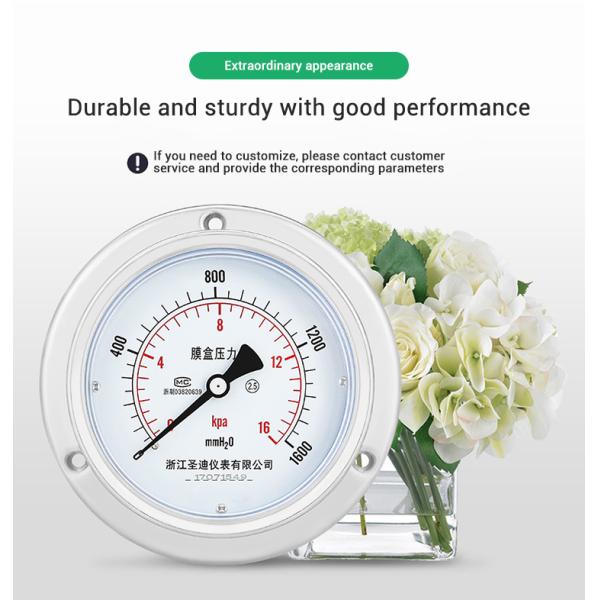 YE100ZTBF Stainless Steel Pressure Gauge with High Precision and Oxygene Measurement