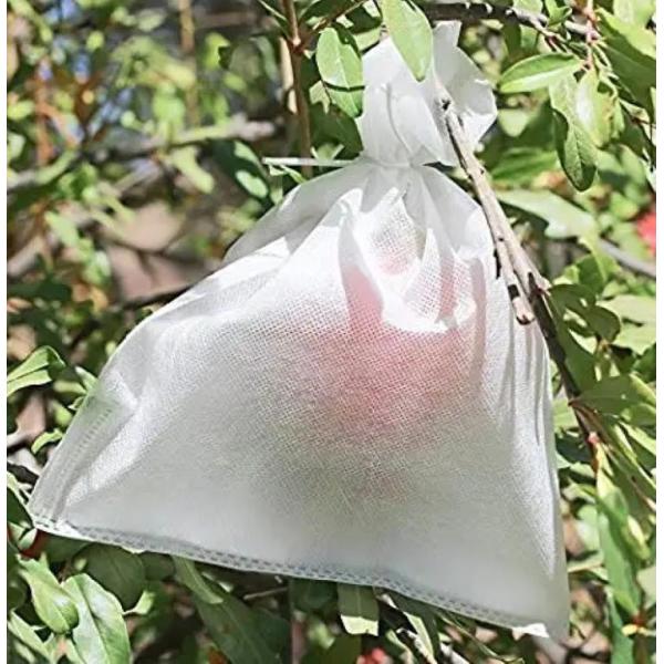 Agricultura Saco de Proteção de Plantas de tecido não tecido de fibras sintéticas de polipropileno