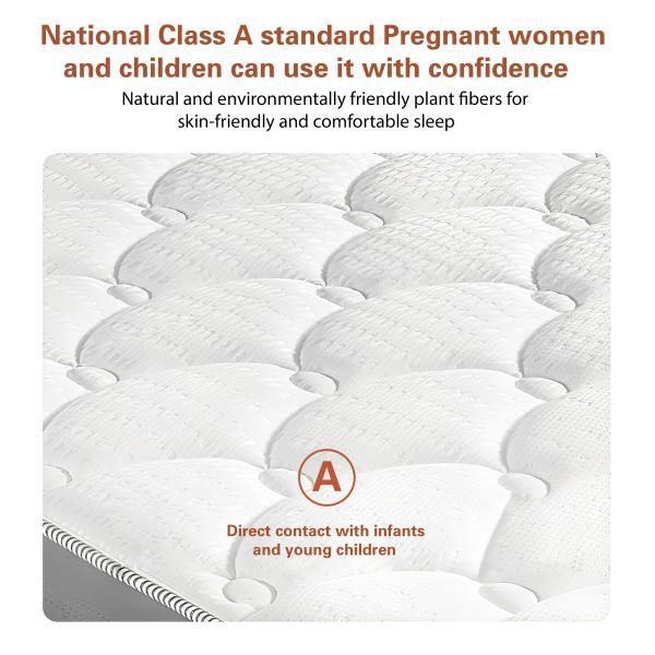 JOURM Natural Anti-Mite Knit Fabric High Density Compressible Sponge Orthopedic Mattress
