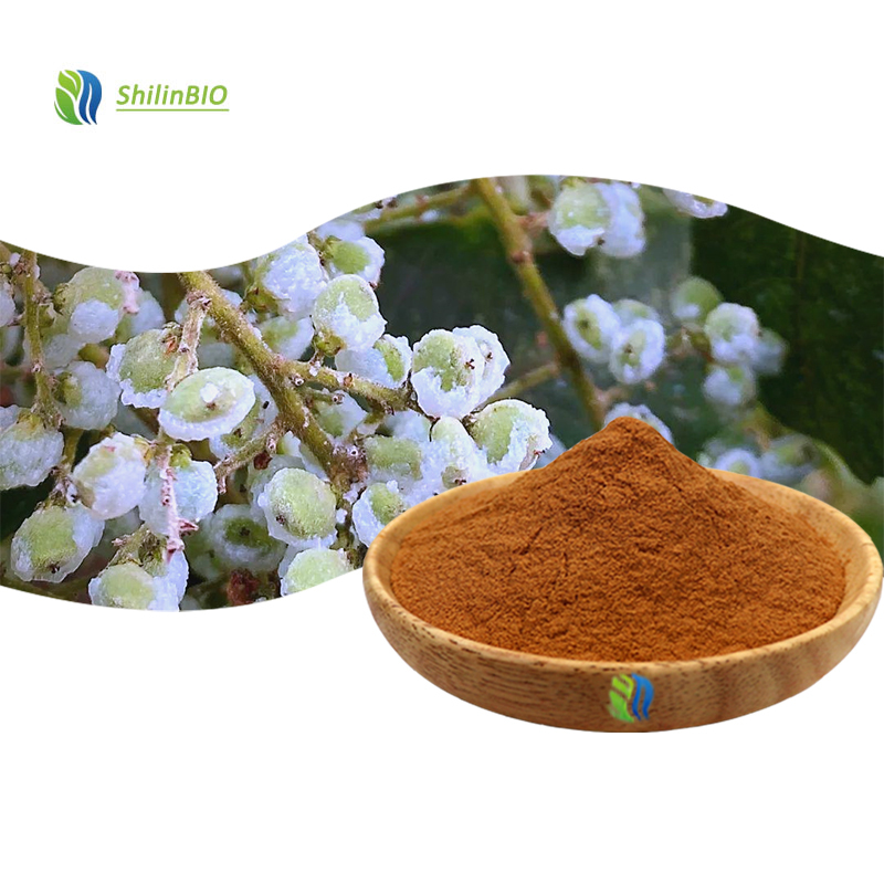HIgh Quality 10::1 20::1 Rhus Chinensis Mill. Extract Powder ISO/HACCP