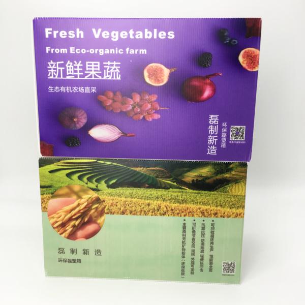 OEM Corrugated Plastic Storage Boxes Agricultural Product Farm Storage Heavy Duty