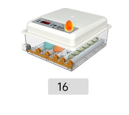 Automatic Eggs Incubator Machine for Poultry Egg Hatching in Shanghai or Nanjing