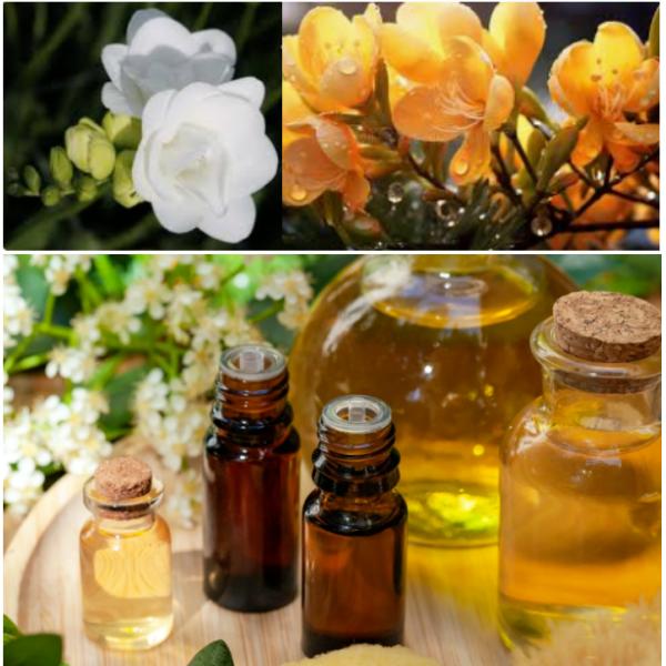 Sustainable 100% Pure Freesia  Essence For Diffuser Reed Sticks Scented Candles