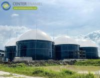 Detentores de biogás de membrana dupla ecológicos para projetos agrícolas de biogás