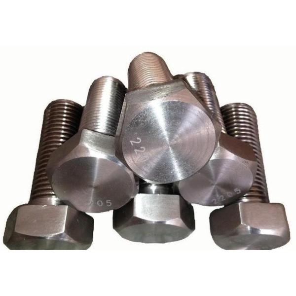 Duplex Stainless Steel 2205 Hexagonal Head Bolts for Marine Chemical Oil and Construction
