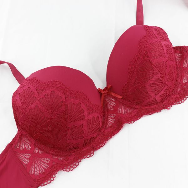 E Cup New Arrival Plus Size 40-50E Women Lace Bra Beautiful Back Comfortable Bra Women Plus Size