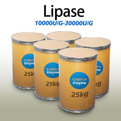 Poudre blanche Enzyme des graisses 20000U/G Lipase Activité enzymatique personnalisée