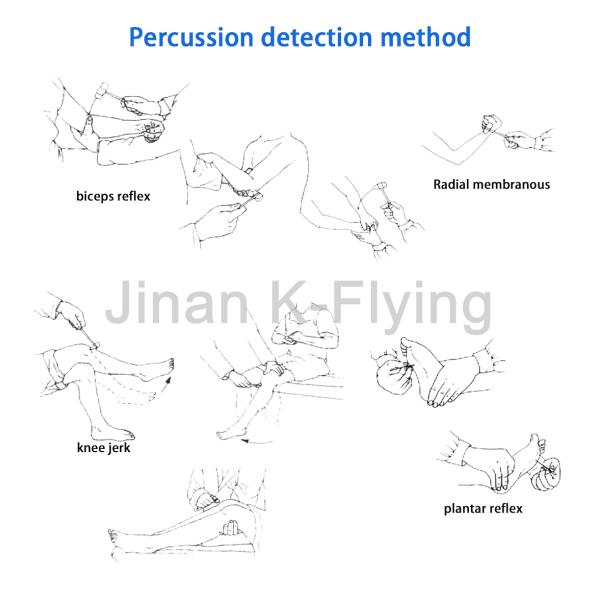 Manija de acero inoxidable del martillo reflejo neurológico médico de la percusión