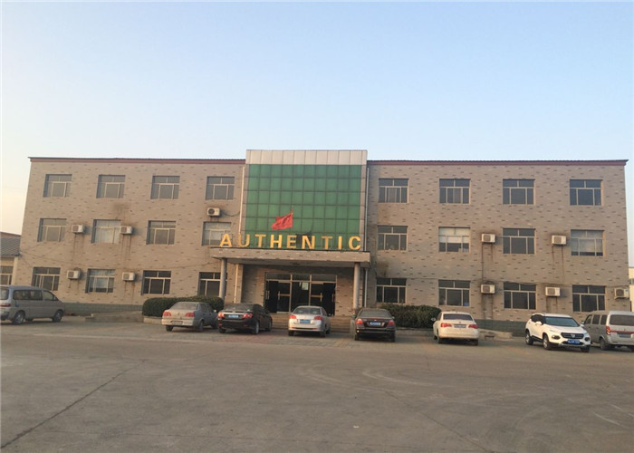 Astm A234 Wpb b 16,9 планирует 40 локтей сварки для трубопровода