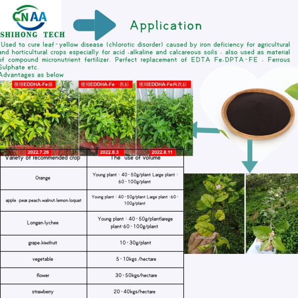 Fertilizante quelatado el 6% del hierro del FE de EDDHA para el suplemento del hierro del microelemento de la agricultura