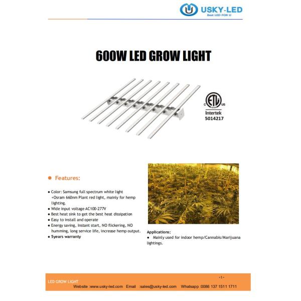 600W LED Grow Light Plant Growth Lights White Growing Lamps for Indoor Plants Seedling Vegetable and Flower