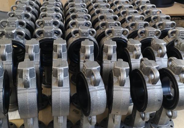 Small Torque And Good Wearing Resistance Boby Mounted Butterfly Valve Seat