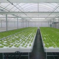 Tableau de culture de serre de taille personnalisée pour l' horticulture