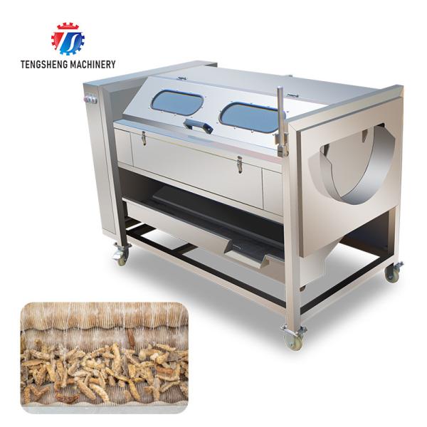 Equipamento dos produtos agrícolas 1500KG/H, raiz e haste descascando a máquina de limpeza, limpeza em ferradura e Mac da remoção da lama