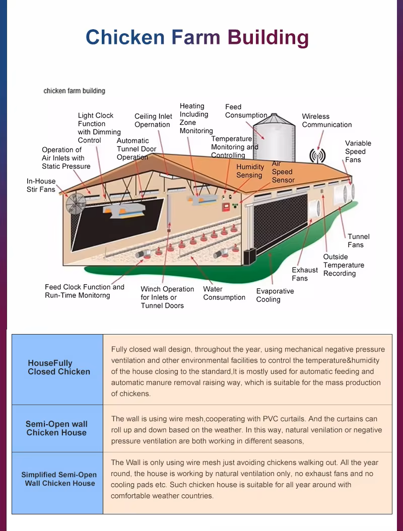 Commercial Prefabricated Steel Building Durable Easy Install For Broiler Chickens Farms