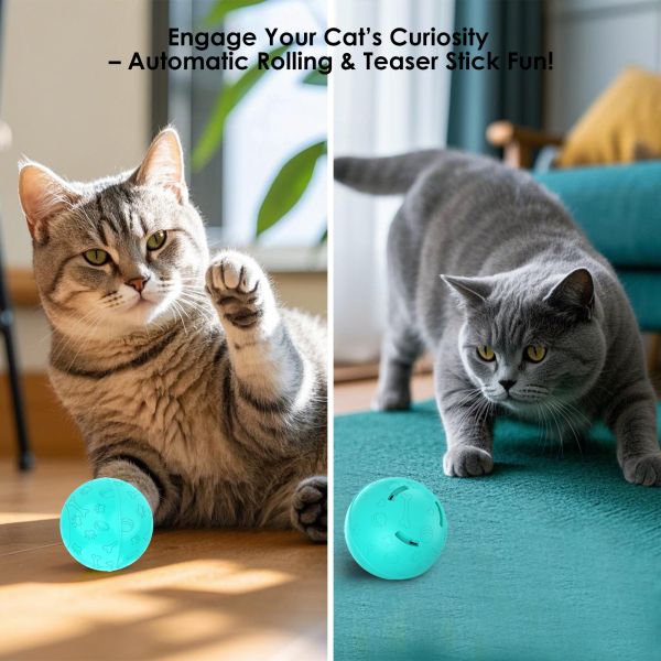 Interactive 3-in-1 Cat Dog Toy Durable Rechargeable Automatic Rolling Ball Eco-Friendly Plastic Lovely Stick Feather Wand