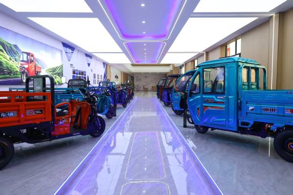 Cargo en gros Trois roues électriques entièrement fermées pour adulte