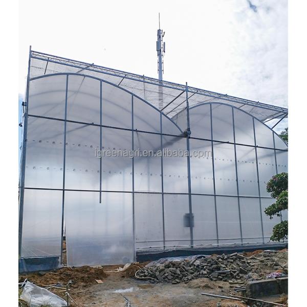 Strong Structure Large Multi-Span Agricultural Tropical Greenhouses PE Plastic Film Covered Gutter Rain Water Collection