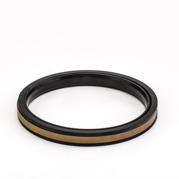SPGW 100 Piston Seal Performance à haute pression avec PTFE Bronze/NBR POM Back-Up Ring