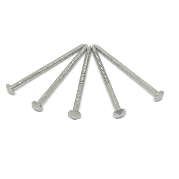 30X2.0MM Rose Head Annular Ring Shank cloue l'acier inoxydable 316