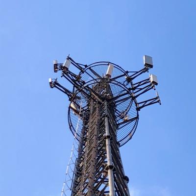 Dobre a torre de aço da transmissão de televisão de Q235B