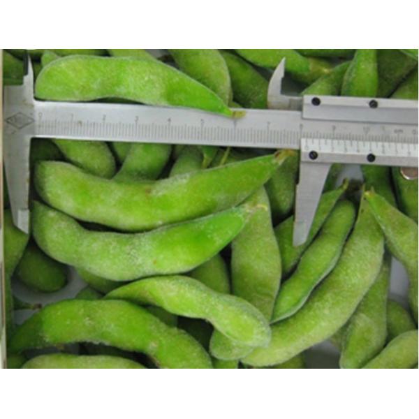IQF Individual Quick Frozen Fresh Edamame / Soy Beans Pod / Kernel