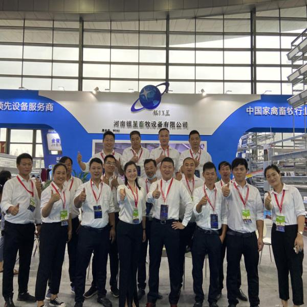 Poultry Farm Battery Egg Layer Chicken Cages Automatic A Type H Type Poultry Farming Chicken Cage