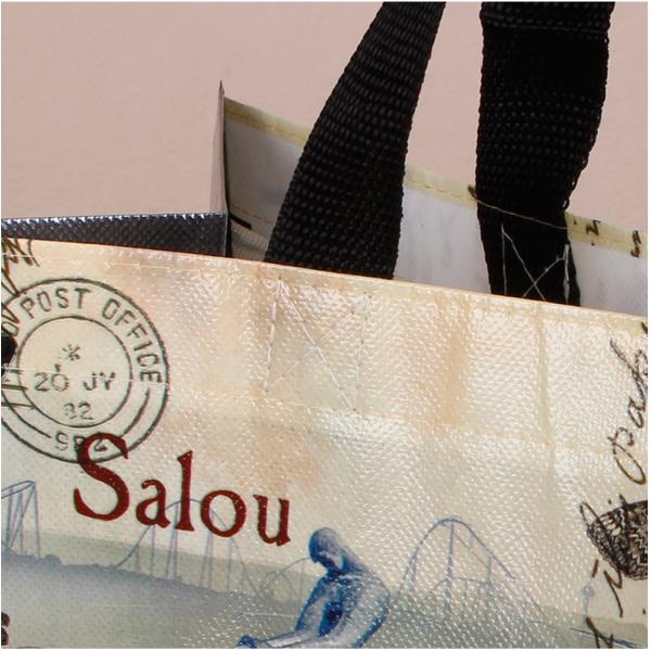 Non-Woven Tote Bag with Custom Logo Printing Accepable OEM/ODM Pp Woven Shopping Bag