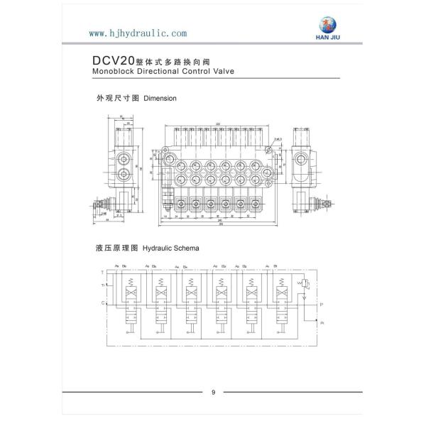 20 Lpm - рычаг 200 Lpm 1 - клапан 12 рычагов гидравлический дирекционный