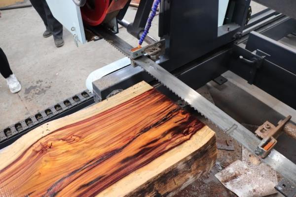 30KW Wood Portable Sawmill Lumber Mill Bandsaw With Carbide Blade