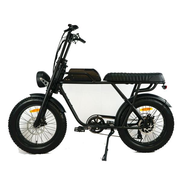 73 eBike Fat Tire Electric Bike E Bicycle with Range per Power 31 60 km and Disc Brake