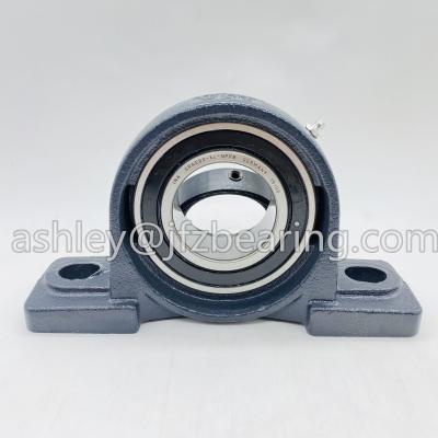 INA (Schaeffler) PASE60-XL Pillow Block Ball Bearing Unit - Two-Bolt Base, 60 mm Bore, Cast Iron Material,Standard Duty,