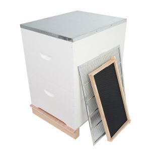 Пластиковый улей пчеловодства сосны рамки 20mm толстый с учреждением