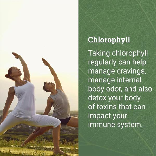 Liquid Chlorophyll Drops with Sodium Copper Chlorophyllin Extract