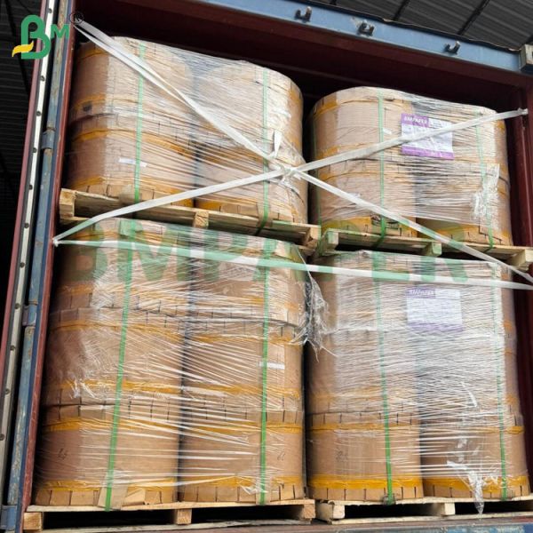 50gr 55gr Recycled Fruit Bags Paper Roll To Protect the Fruit 800mm 900mm