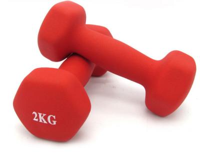 Color Gym fitness women  Wholesale Custom Vinyl Dumbbell for sales