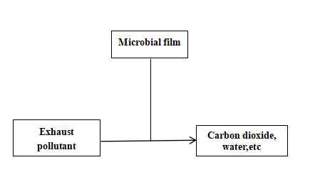 Core Component Biofilter Driven Biological Sewage Water Plant Deodorization Equipment