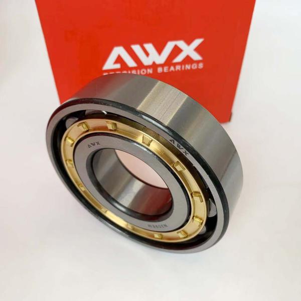 222.25mm OD Capacity Plastic Caged / Em Cylindrical Roller Bearing