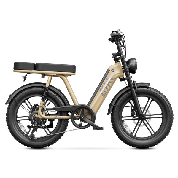 TST R7 Steel Frame Electric Bike for Teen&Adult 1500W Brushless Rear Hub Motor MTB Long Range Fat Tire Ebike Electric Dirt Bike