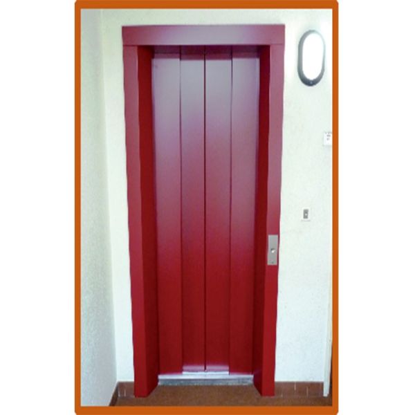 EN81-58/GOST Landing Floor Elevator Fire Door SUS304 Lift Door