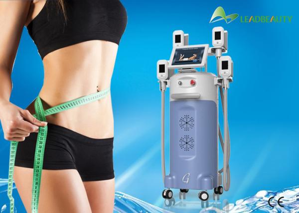 100% fat freezing cryo lipolysis cryolipolysis cold body sculpting machine
