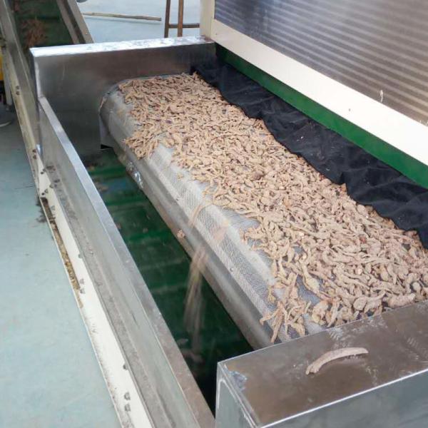 High Efficiency Chili Continuous Belt Dryer Large Scale Production
