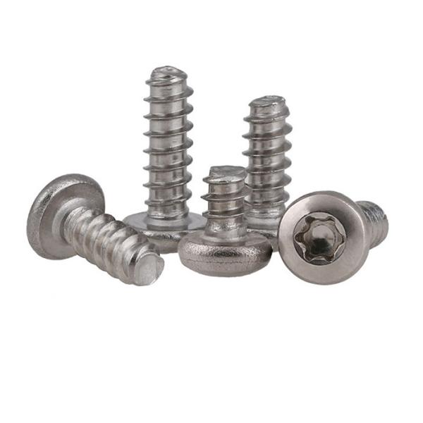 Torx T25 F Pan Head Self Drilling Screws DIN Standard with Grade Steel/STAINLESS