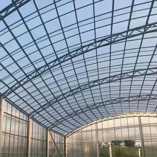 JX-A006 Большие теплицы из поликарбоната Venlo PC для коммерческих и сельскохозяйственных целей