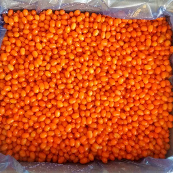 Origin China IQF Fresh Frozen Wild Sea Buckthorn First Class Sea-buckthorn Lingonberry Raspberry, Blueberry Mixed Berries