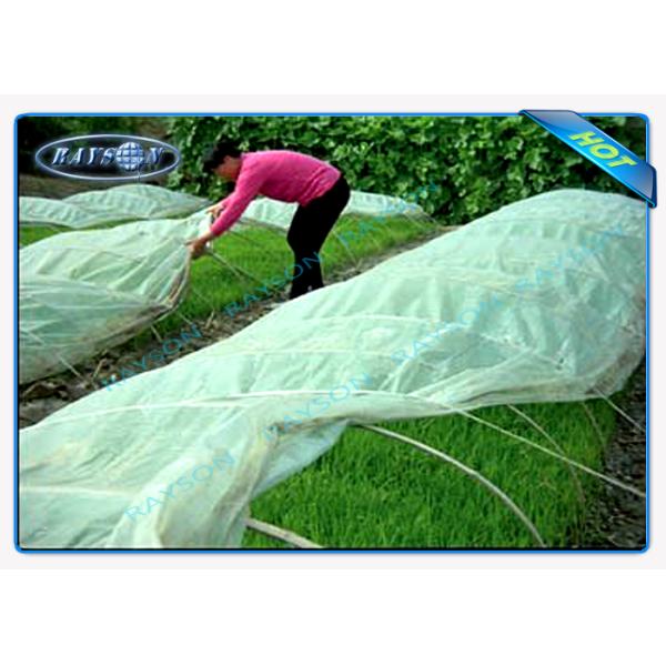 Tela de tecelagem não permeável do polipropileno 22Gsm da água da agricultura