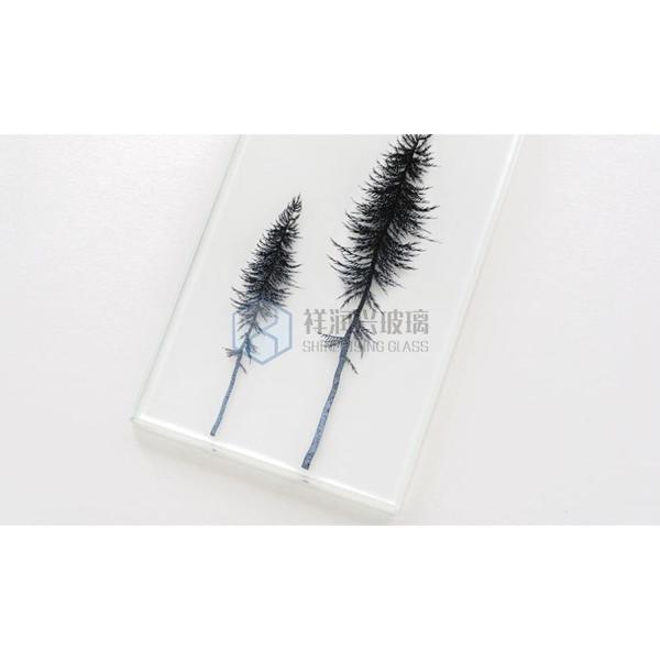 Main Product Changhong Reeded Corrugated Patterned Glass Window Film with CE Certificate
